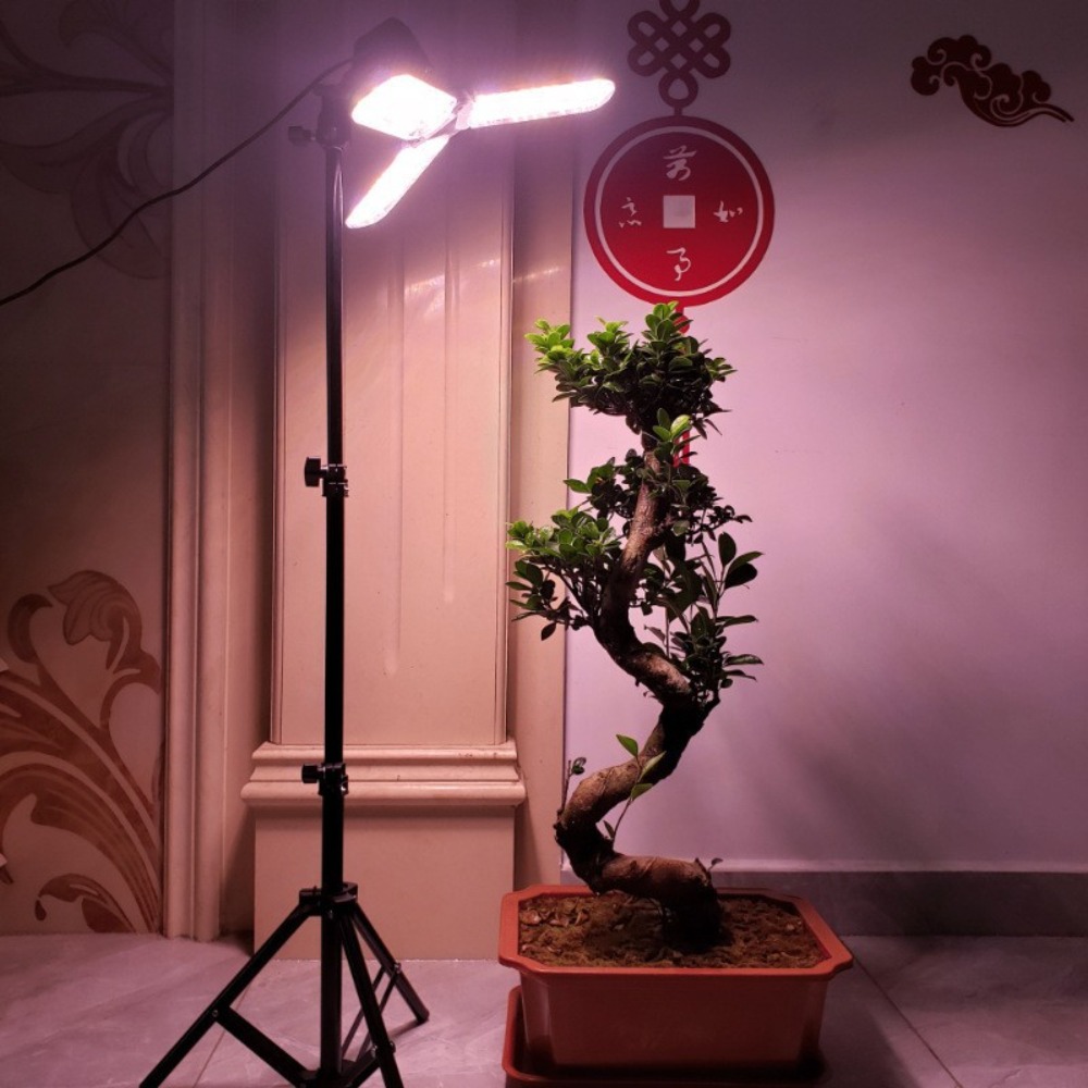 Suporte de lâmpada 2m, soquete - Photography Lighting For Studio avaliação e preço