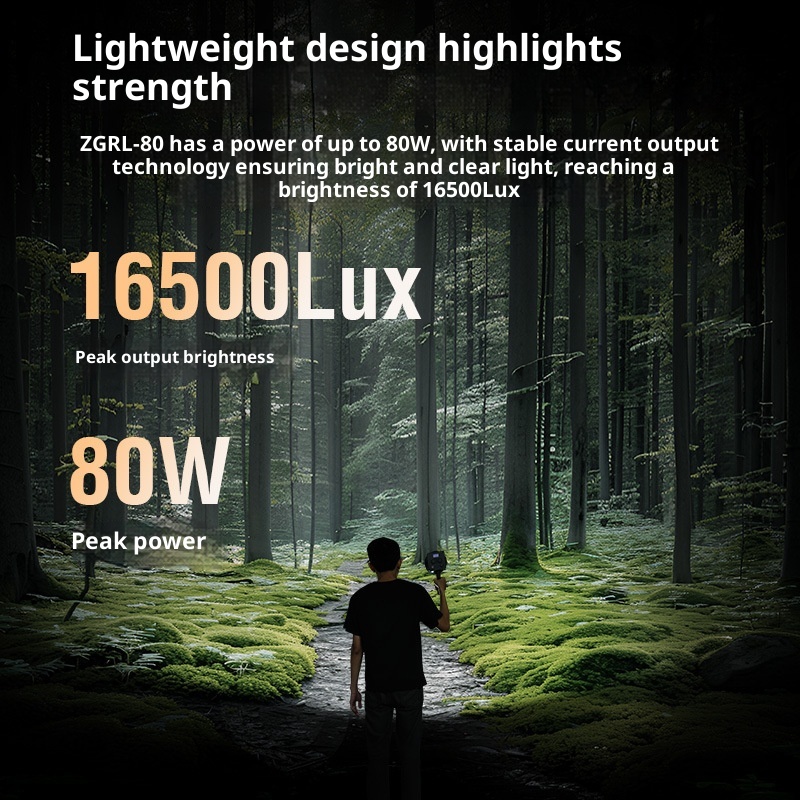 ZGRL80 80W COB LED Luz de víde - Photography Lighting Outdoor avaliação e preço